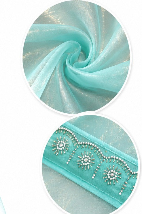 Sea Green Tissue Saree with Designer Stone Border